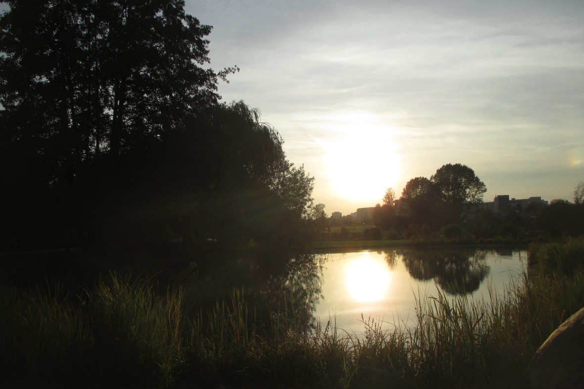 sunset Kienbergpark